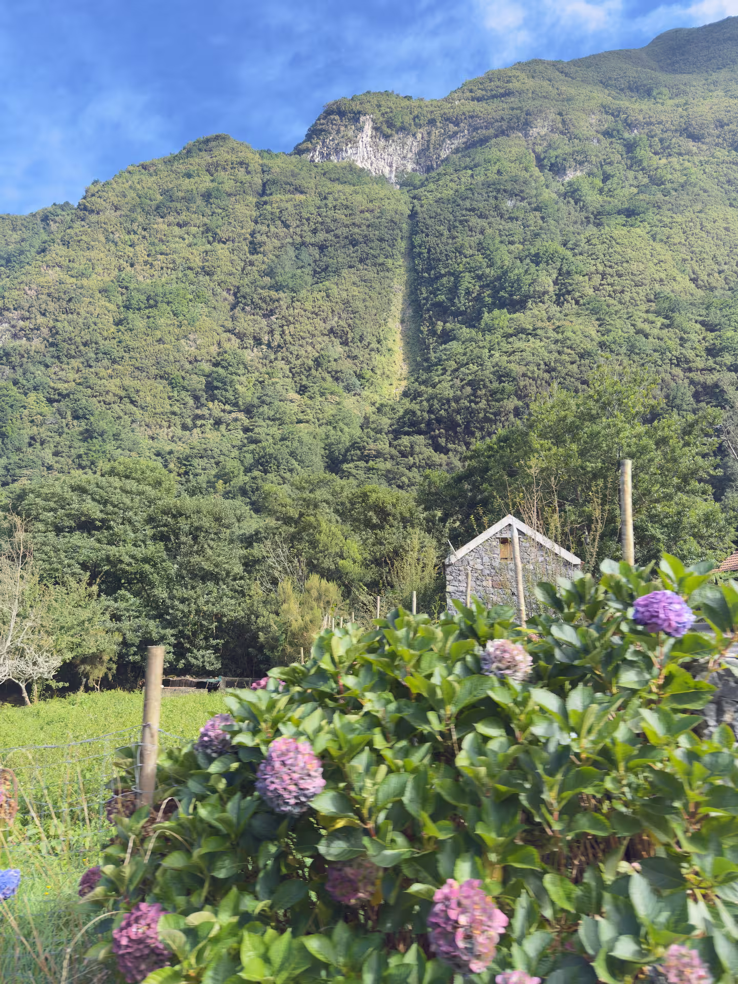 Hydrangeas and stone house beneath lush green peaks, picturesque viewpoint on North Wonders 4x4 off-road tour