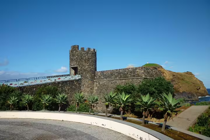 Discover the historic fortress and lush greenery surrounding Madeira's scenic coastal landscapes.