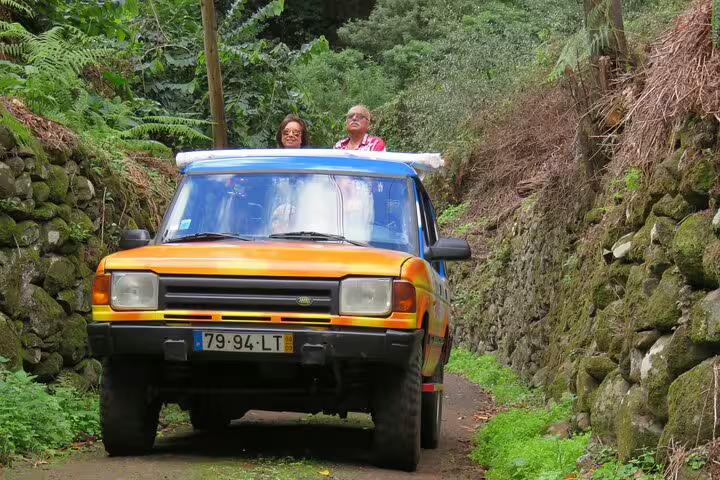 Explore Madeira's lush landscapes on a full-day guided tour with a vibrant jeep adventure through scenic forest trails.