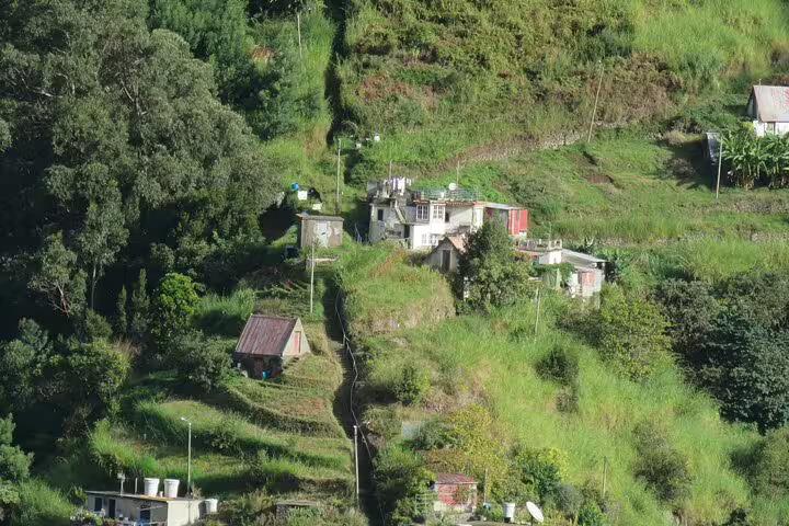 Scenic view of traditional hillside houses surrounded by lush greenery in Madeira Islands, perfect for a full day guided tour.
