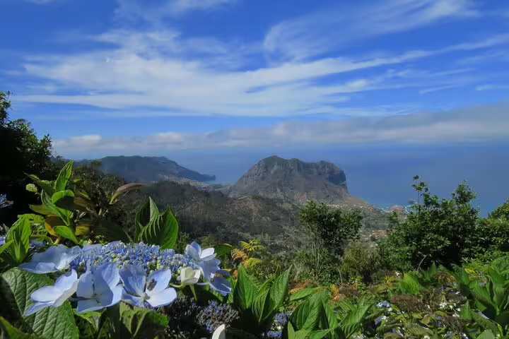 Scenic view of Madeira's lush landscape with vibrant flowers and mountains, highlighting the natural beauty near Funchal.