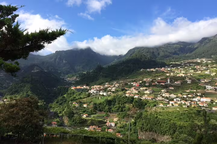 Scenic view of lush Madeira landscape with terraced hillsides and quaint village under a vibrant sky, ideal for Skywalk and wine tours.