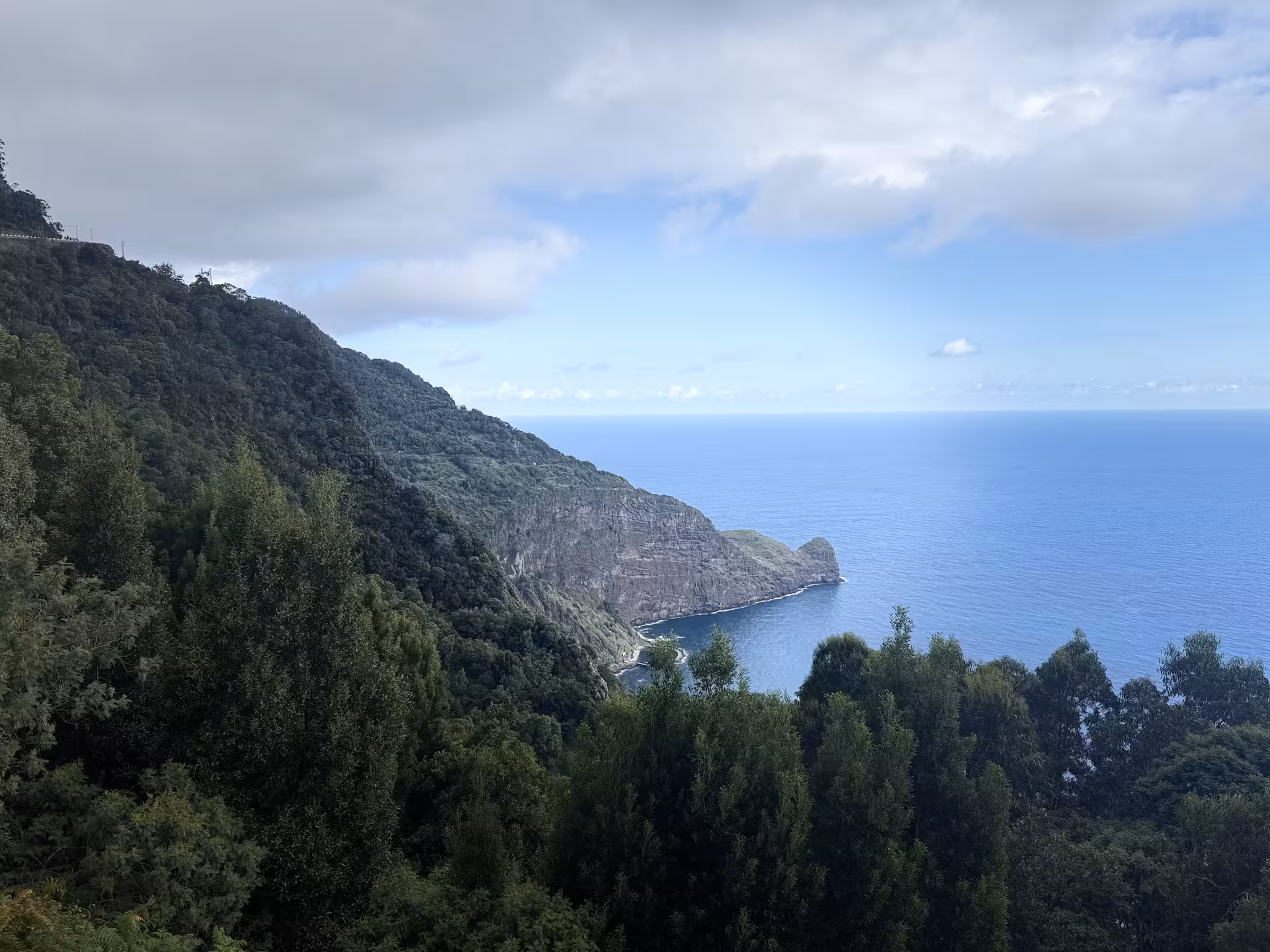 East Coast Madeira 4x4 off-road tour view of steep sea cliffs and blue Atlantic from forested lookout