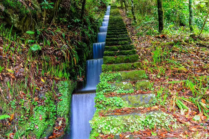 A lush, moss-covered levada with cascading water steps offers scenic beauty on the Full Day East Madeira Tour.