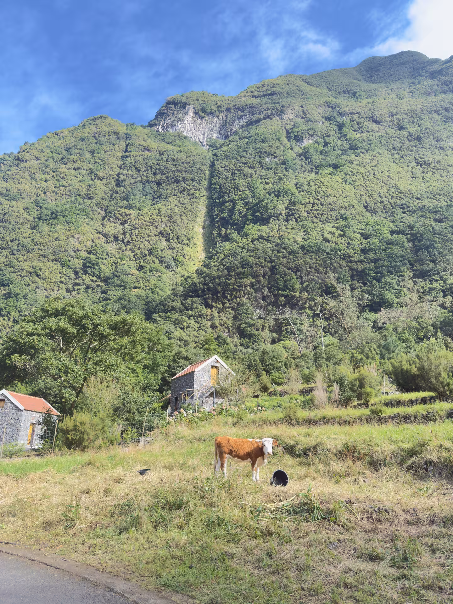 Rural mountain valley with stone cottages and grazing cow, scenic stop on North Wonders 4x4 experience tour