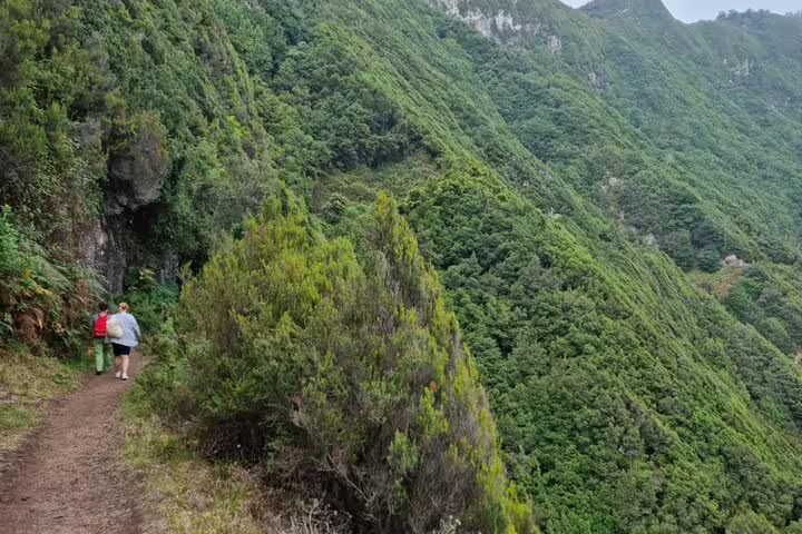 Hikers explore lush trails on the scenic Madeira Porto da Cruz to Machico self-guided hiking tour with transfer service.