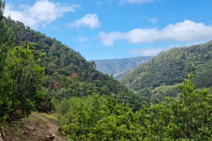 Lush green hills and a scenic trail under a blue sky on the Madeira Porto da Cruz to Machico self-guided hiking tour.