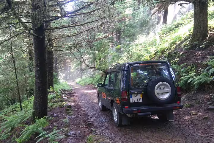 Safari vehicle on a scenic forest trail in eastern Madeira, showcasing vibrant greenery and a rugged adventure route.