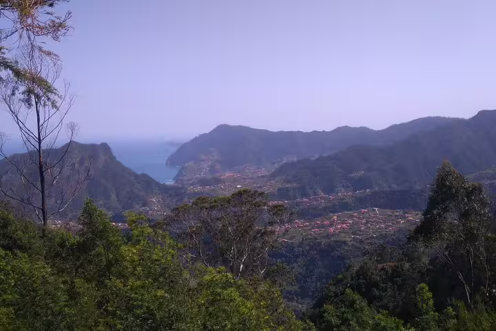 Breathtaking view of Madeira's eastern landscape with lush greenery and ocean vistas on a safari tour.