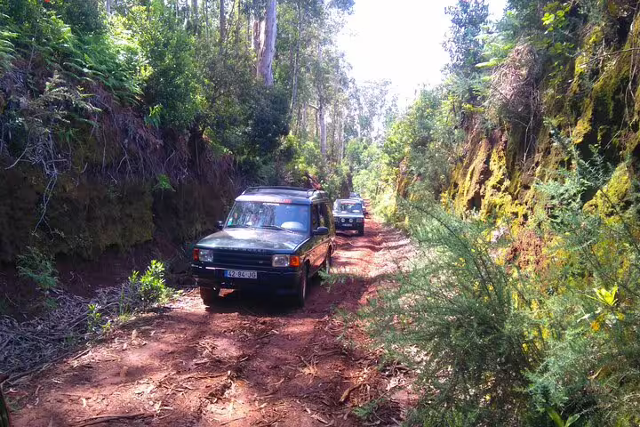 Off-road vehicles navigating a lush forest trail during the adventurous Madeira safari on the island's eastern side.