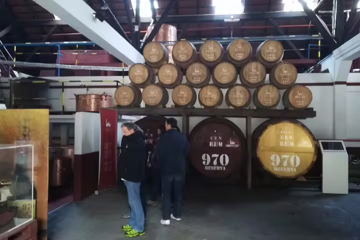 Visitors explore rum barrels at a distillery in Madeira, capturing the rich heritage of the island's east side safari.