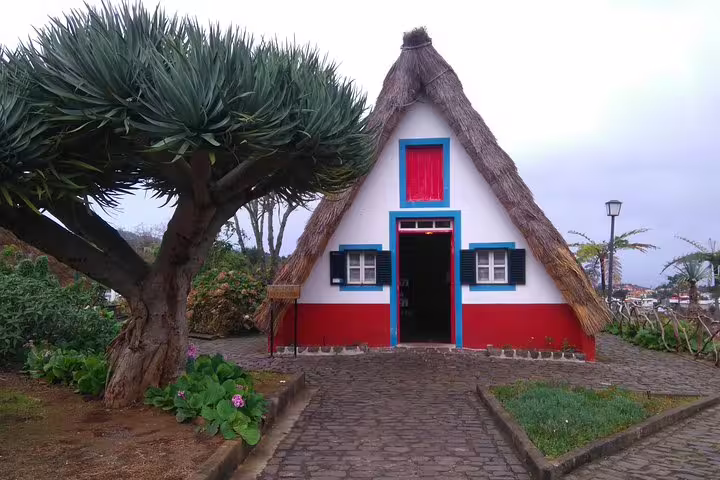 Traditional Santana house with a thatched roof and vibrant colors, a cultural highlight of the Madeira safari tour.