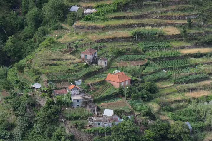 Aerial view of lush terraced farms and quaint houses in Madeira, showcasing the scenic beauty of a 4WD and local market tour from Funchal.