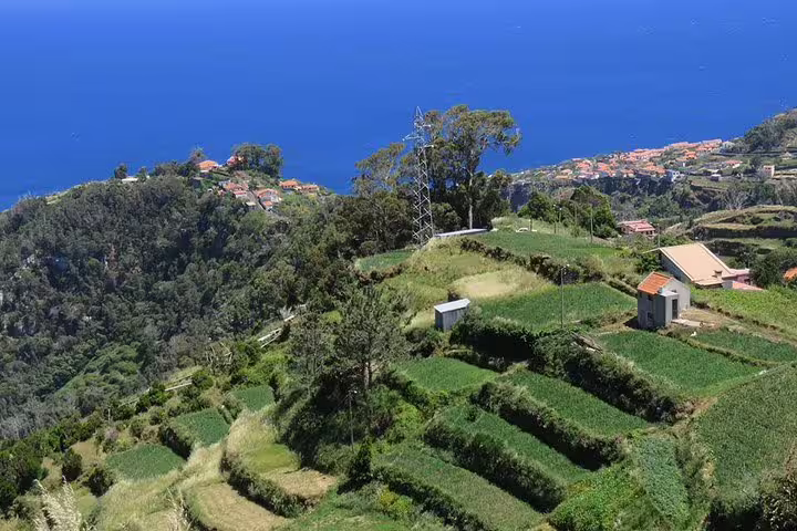 Scenic view of Madeira's lush terraced fields and coastal villages under a bright blue sky during a guided tour from Funchal.