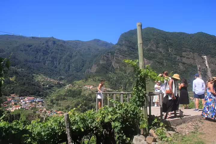 Tourists enjoy stunning mountainous landscapes and vineyards on a sunny day in Madeira, capturing the island's untamed beauty.