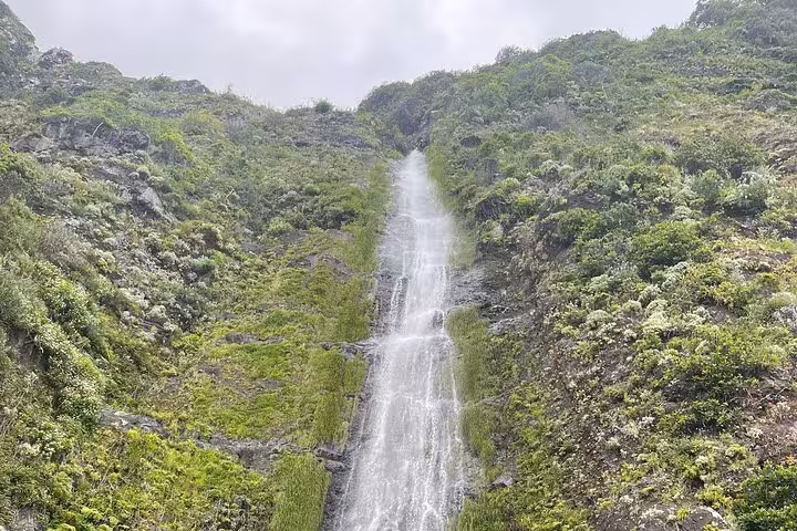 Tall Madeira waterfall on lush green cliffs, scenic stop on West Madeira 4x4 expedition to Fanal Forest