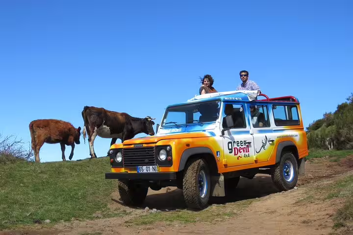 Open-top jeep tour in Madeira West with breathtaking views of Enchanted Terraces and Fanal UNESCO, featuring vibrant landscapes.