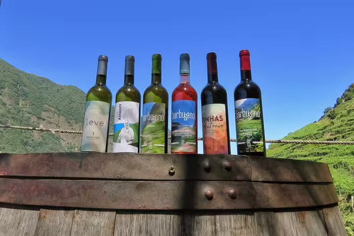 A selection of Madeira wine bottles displayed on a wooden barrel with lush vineyard terraces and clear blue skies in the background.