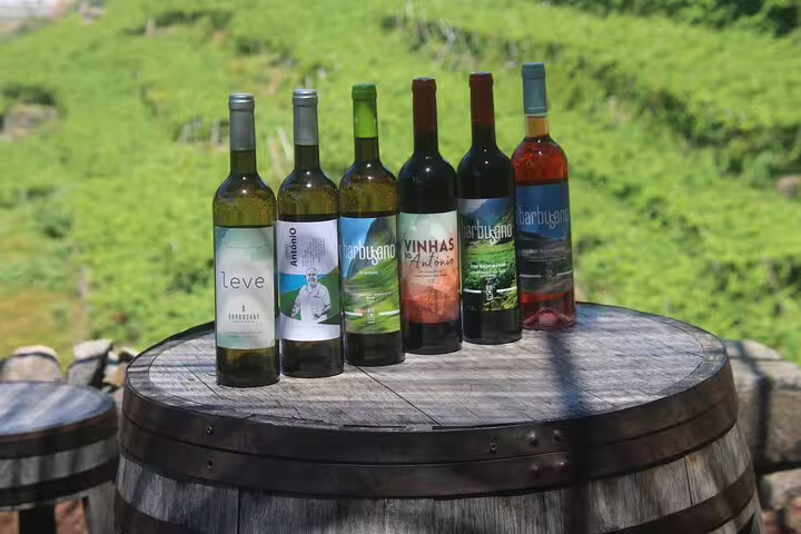 Assortment of Madeira wine bottles on a rustic barrel with lush vineyard backdrop, highlighting the island's wine tour charm.