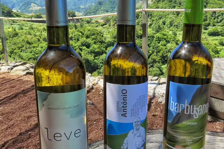 Three bottles of Madeira wine on a rustic barrel with lush Cabo Girão valley backdrop, featured in Jeep Safari tour.