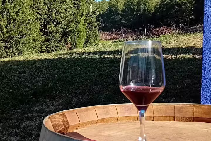 Glass of red wine on a barrel overlooking Madrid vineyard, ideal for wine tasting enthusiasts seeking scenic views.