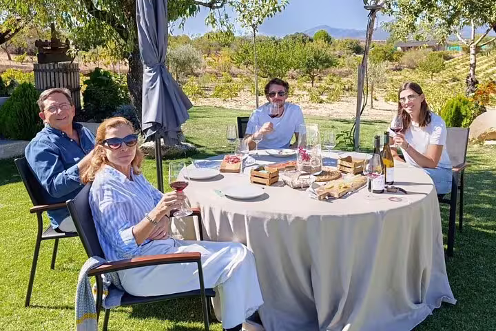 Group enjoying wine tasting at a scenic Madrid winery, surrounded by lush vineyards under a clear blue sky.