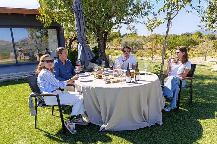 Visitors savor wine outdoors at Madrid vineyard, surrounded by scenic views and lush greenery.