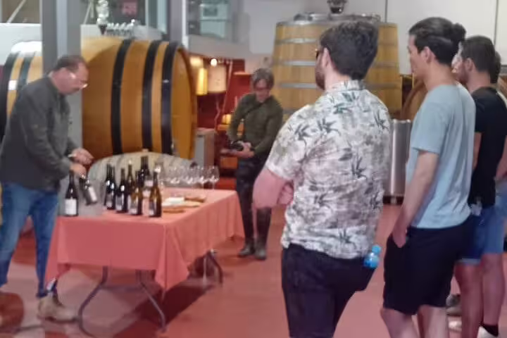 Visitors enjoy a guided wine tasting session at a Madrid winery, surrounded by wooden barrels and a table of wine bottles.