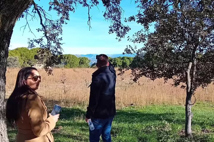 Tour participants enjoy a scenic view of Madrid's countryside during a wine tour under clear blue skies.