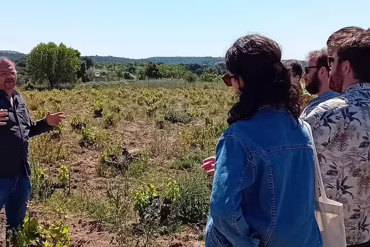 Tour group listening to a guide in a picturesque vineyard during the Madrid Wine Tour, with scenic landscapes in view.