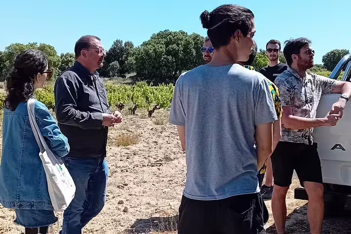 Tour group enjoying a sunny day at a Madrid vineyard during the wine tasting tour.