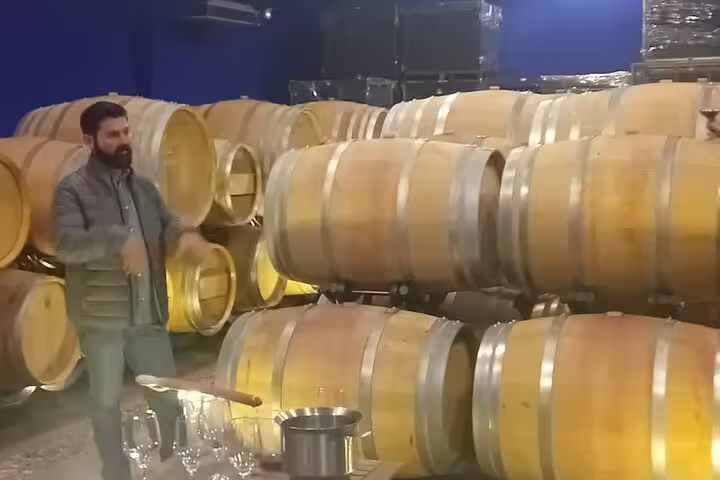 Guide explaining wine production in a Madrid winery, surrounded by stacked oak barrels for tastings.