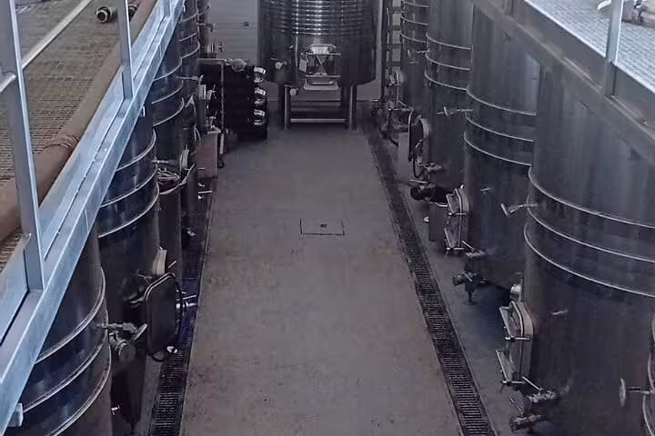 Tour of Madrid winery showcasing modern stainless steel fermentation tanks for premium wine production.