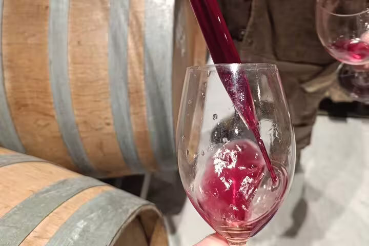 Red wine being poured into a glass at a Madrid winery, showcasing the rich color and craftsmanship of the tasting tour.