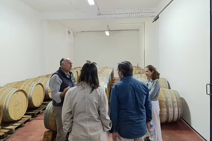 Sommelier guiding a group through a winery's barrel room, showcasing the winemaking process in Madrid.