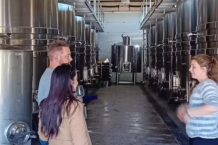 Visitors explore a modern winery in Madrid with large stainless steel fermentation tanks lining the aisle.