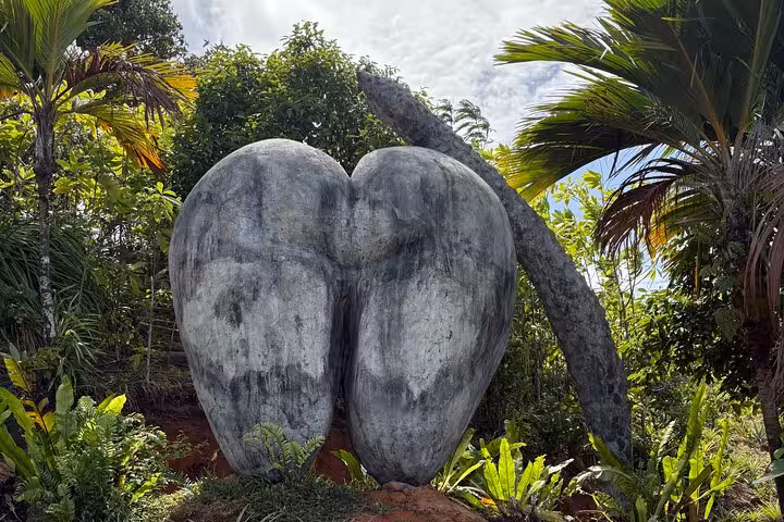 Majestic sculpture of Coco de Mer amid lush tropical greenery on Mahe island tour.