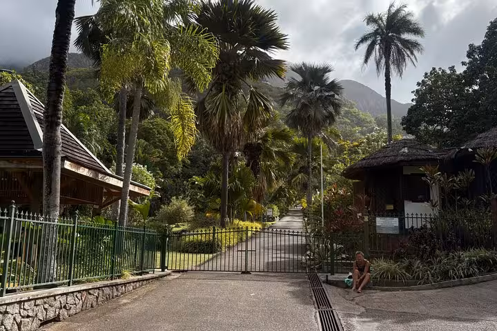 Lush tropical entrance to a Mahe island private tour, featuring palm trees and scenic mountain views.