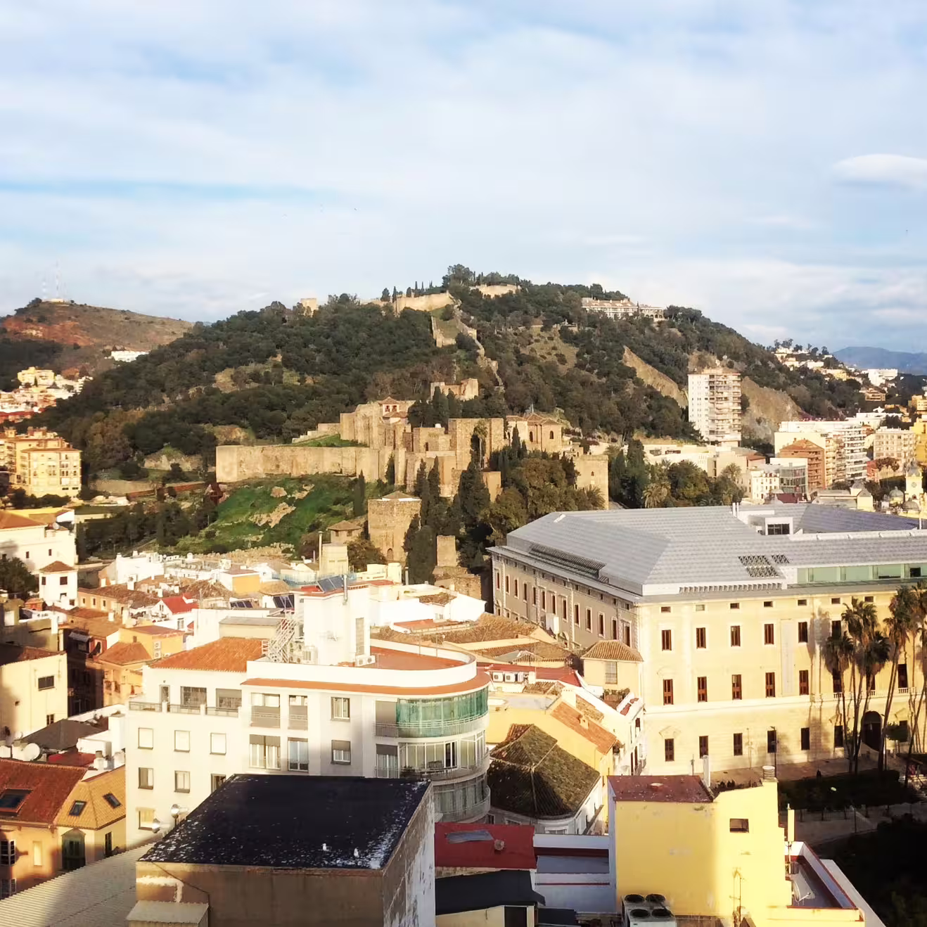Malaga city skyline with Alcazaba fortress on the hill, featured on a private tour from Marbella
