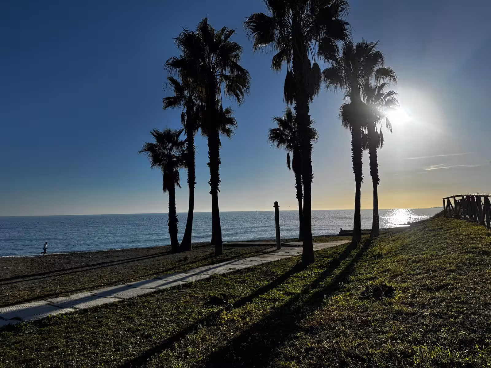 Palm trees casting long shadows along the Málaga coastline at sunset.