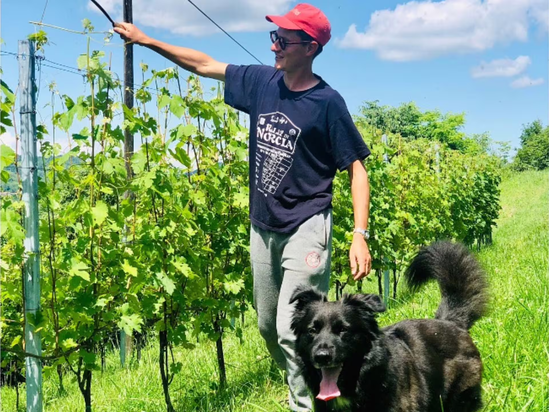 Smiling man with a dog walking through a vineyard near Asti, offering a friendly wine tour experience.