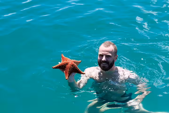 Man enjoying crystal-clear waters while holding vibrant starfish in Saco Mamanguá Fjord half-day beach tour.