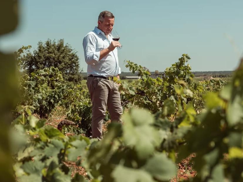 Man tasting wine amidst vibrant grapevines at a Masseria winery near Taranto, enjoying a vineyard walk experience.