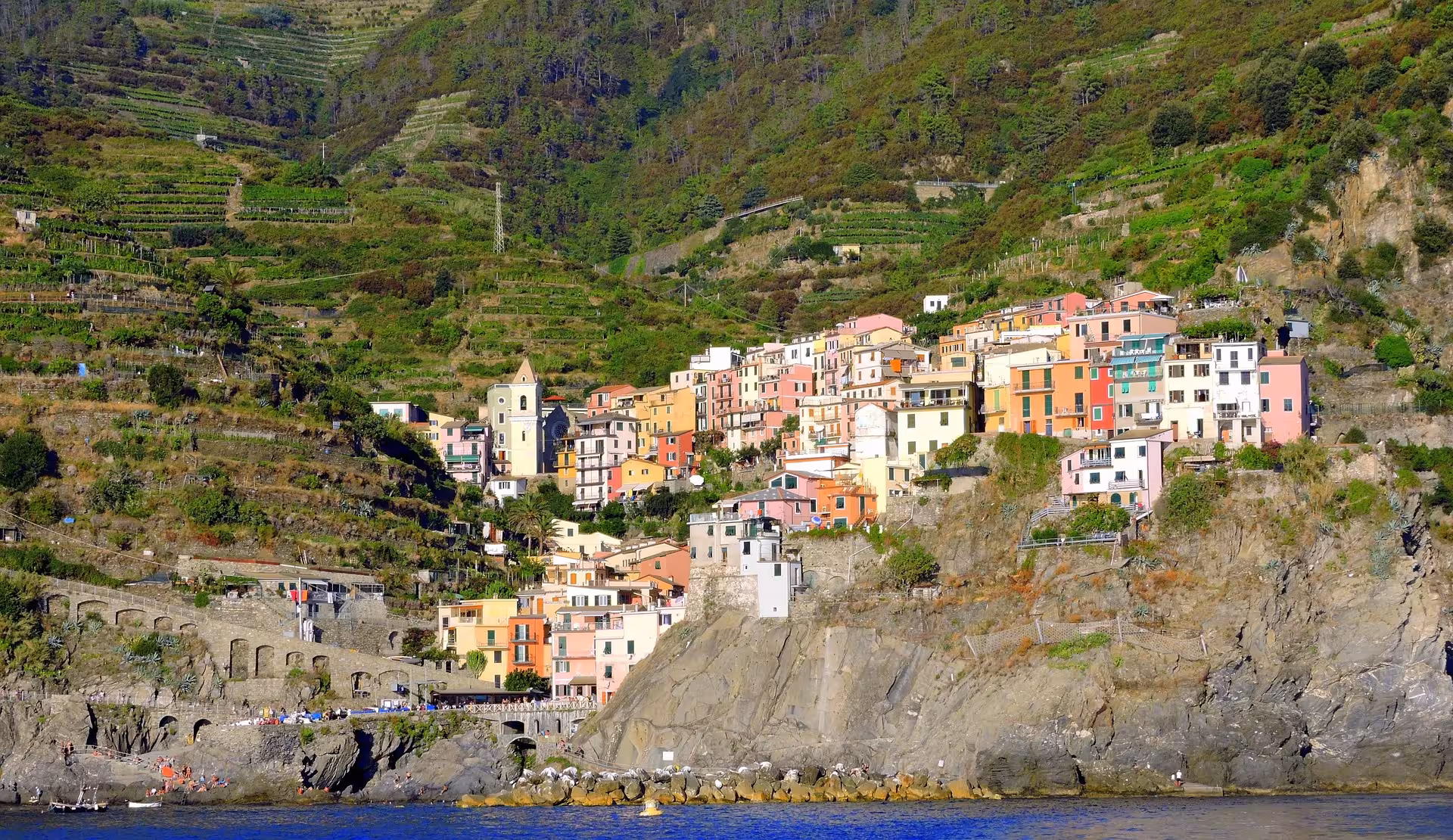 Manarola's colorful buildings nestled on terraced cliffs with a backdrop of lush vineyards, Cinque Terre boat tour.