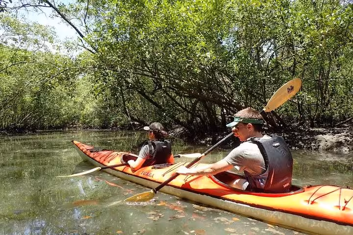 Kayakers exploring lush mangrove waterways on a sunny day with Paraty Tours kayak experience.