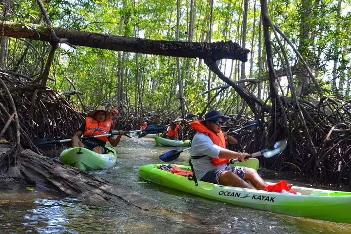 Kayakers navigate through lush mangrove tunnels on an adventurous guided tour, showcasing nature's serene beauty.