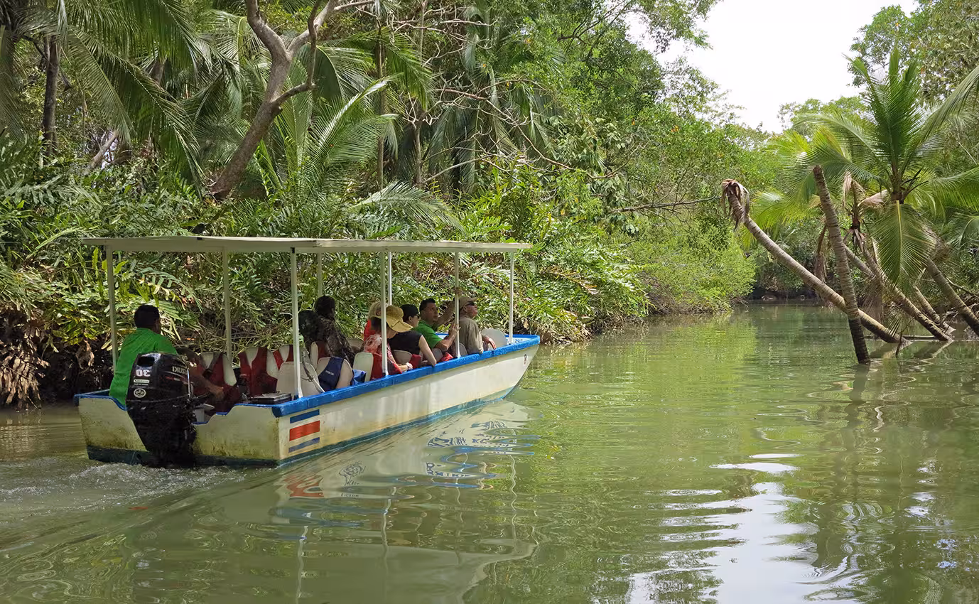 Tourists enjoying a serene boat ride through the vibrant mangroves of Manuel Antonio, spotting monkeys and wildlife.