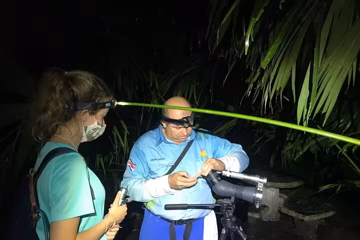 Guide uses equipment to show participant vibrant wildlife during Manuel Antonio Jungle Night Tour experience.