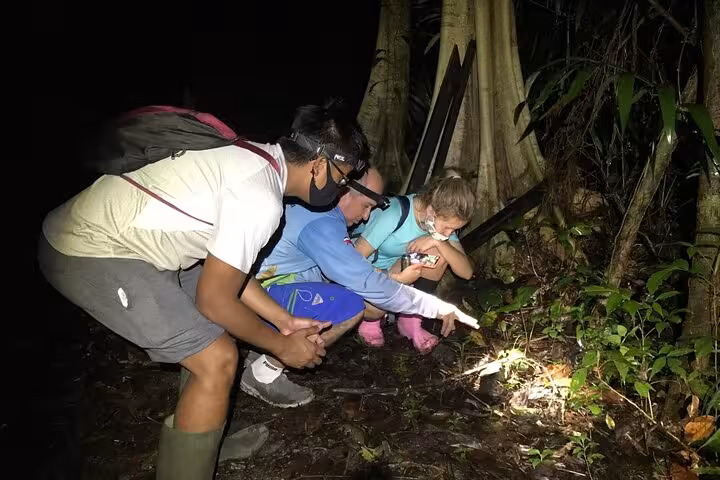 Tourists with flashlights explore wildlife on Manuel Antonio Jungle Night Tour, capturing nocturnal creatures.