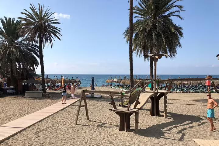 Sunny Marbella beach scene with palm trees, sandy shores, and ocean views, perfect for a group tour experience.